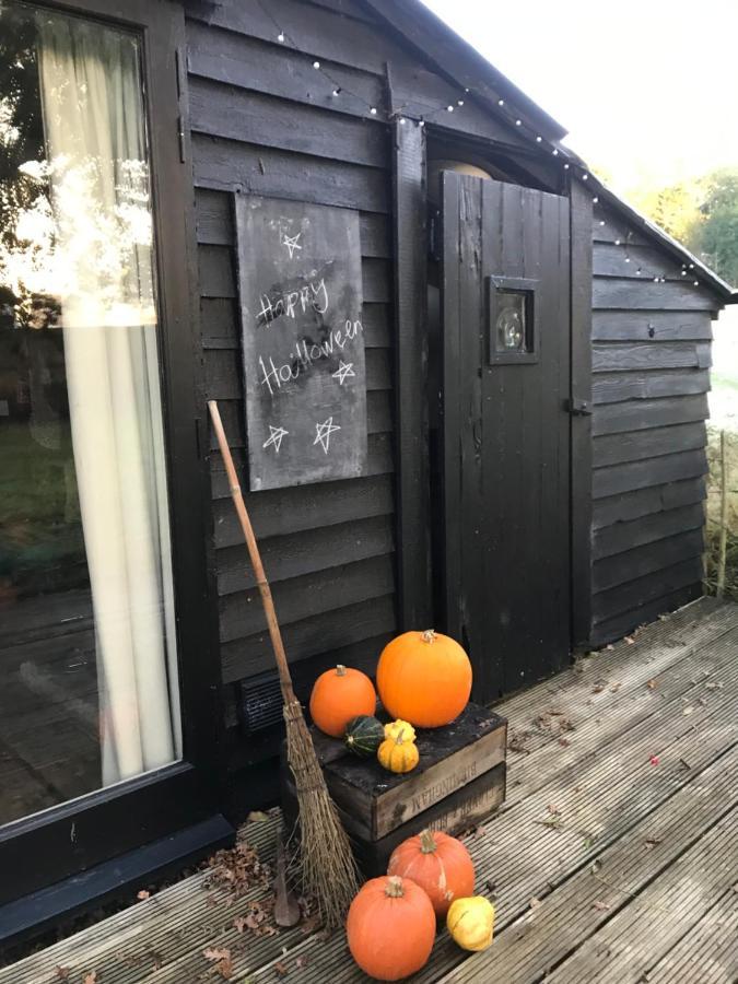 The Old Apple Shed Cosy Heated Cottage In A Meadow Close To The Charming Village Of Bethersden Ashford Kültér fotó
