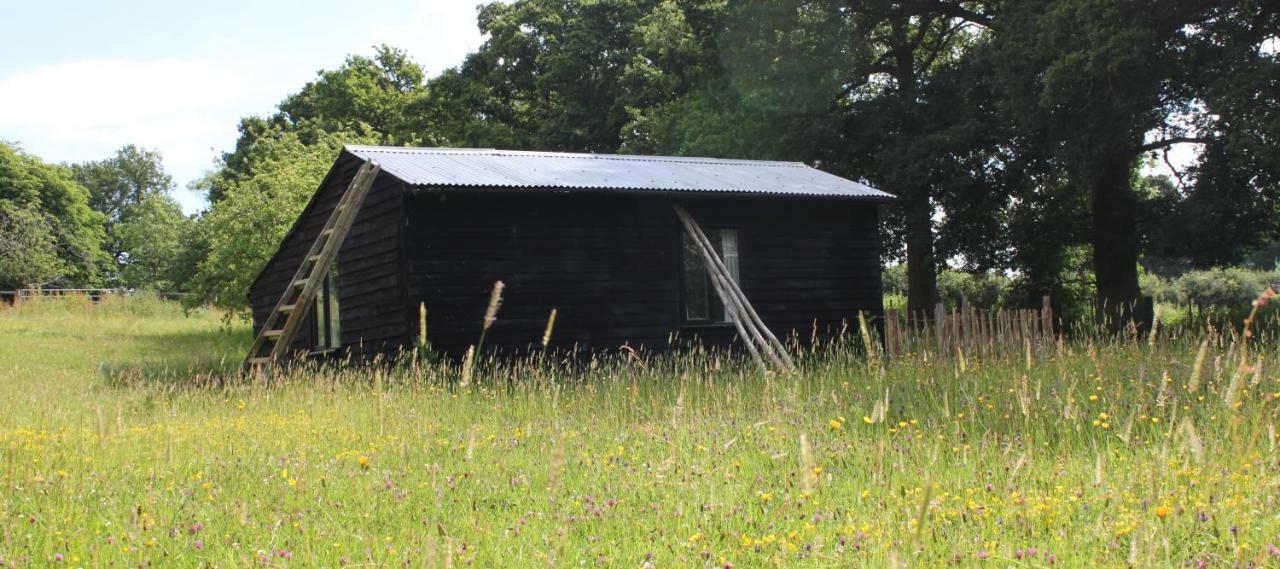 The Old Apple Shed Cosy Heated Cottage In A Meadow Close To The Charming Village Of Bethersden Ashford Kültér fotó