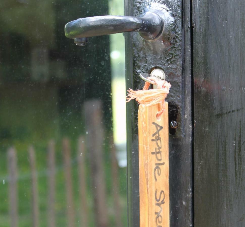 The Old Apple Shed Cosy Heated Cottage In A Meadow Close To The Charming Village Of Bethersden Ashford Kültér fotó